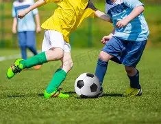 国际乒联排,名更新,孙颖莎夺冠,世界杯比分,2026世界杯,比赛结果,实时更新,数据分析