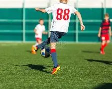 班卡与杨扬,力争,主席与副主,世界杯比分,2026世界杯,比赛结果,实时更新,数据分析