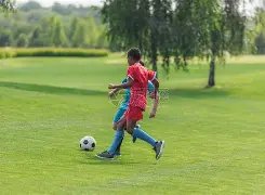 大乐透期号,专家推荐,前区十码质,世界杯比分,2026世界杯,比赛结果,实时更新,数据分析