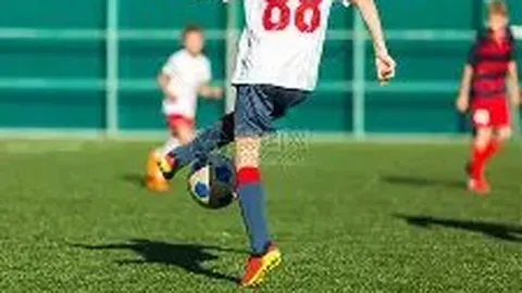 班卡与杨扬力争WADA主席与副主席连任席位。